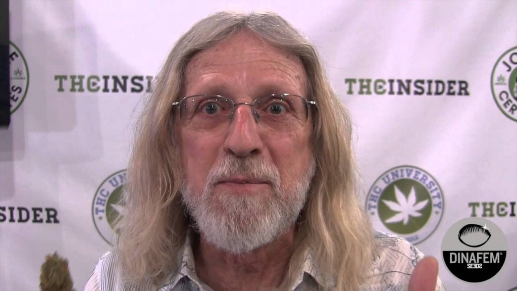 Actualités sur le cannabis