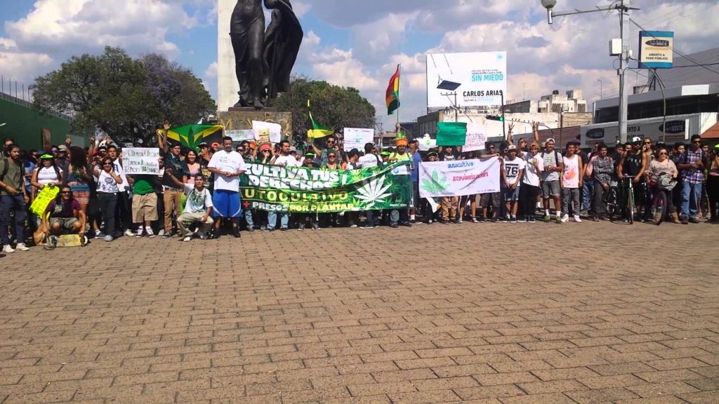 L&rsquo;Argentine légalise le cannabis médicinal