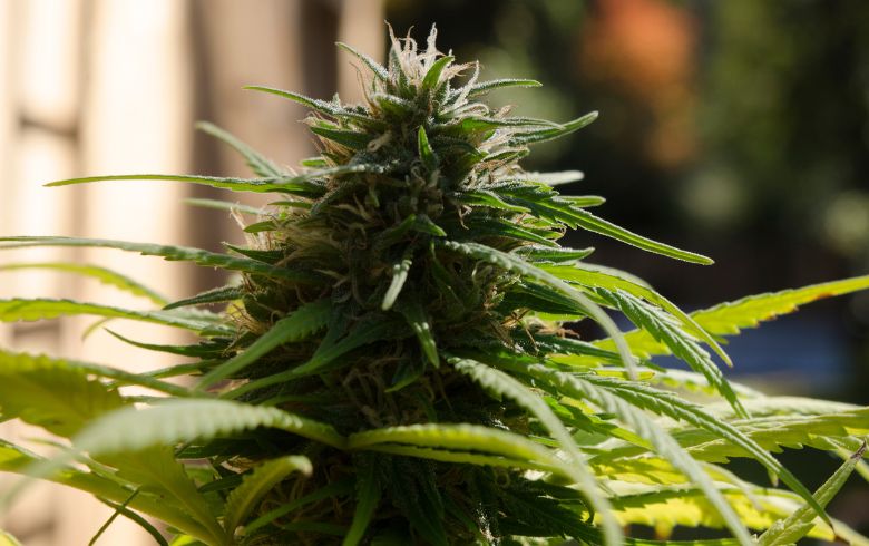 Analyse de produits Analyse de produits