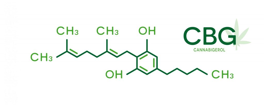 Qu&rsquo;est-ce que le cannabigérol (CBG) : origine, caractéristiques et effets