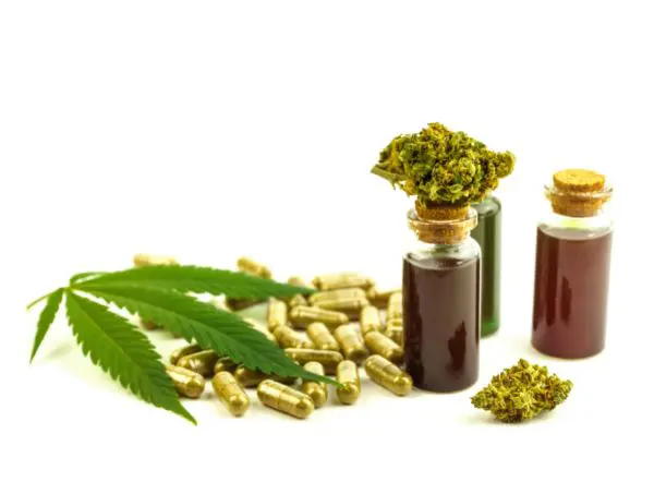 Actualités sur le cannabis