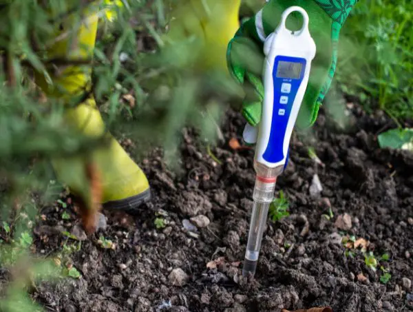 Comment étalonner un pH-mètre ?