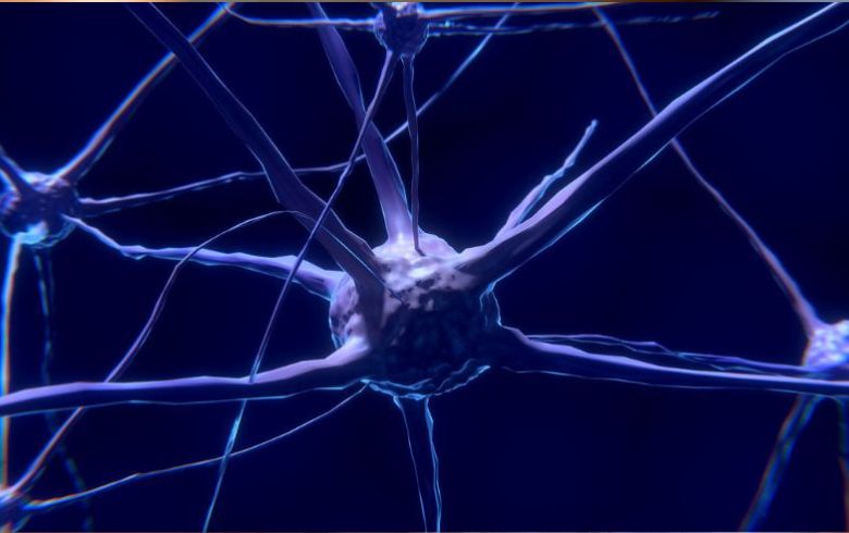 Pourquoi le syndrome de sevrage se produit-il ?