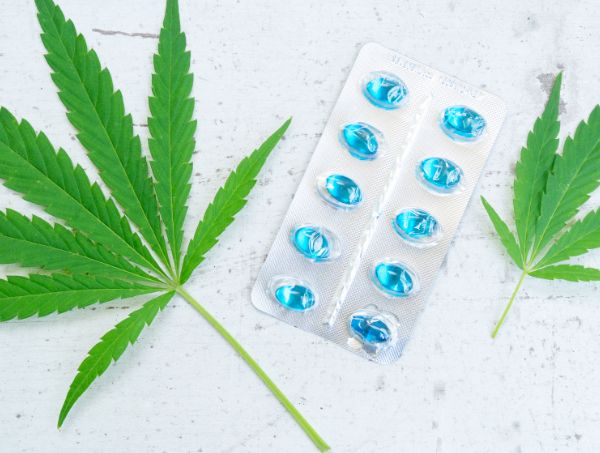 antibiotiques et cannabis antibiotiques et cannabis
