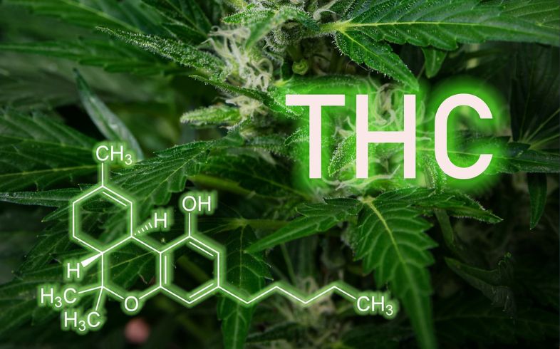 Analyse de produits Analyse de produits