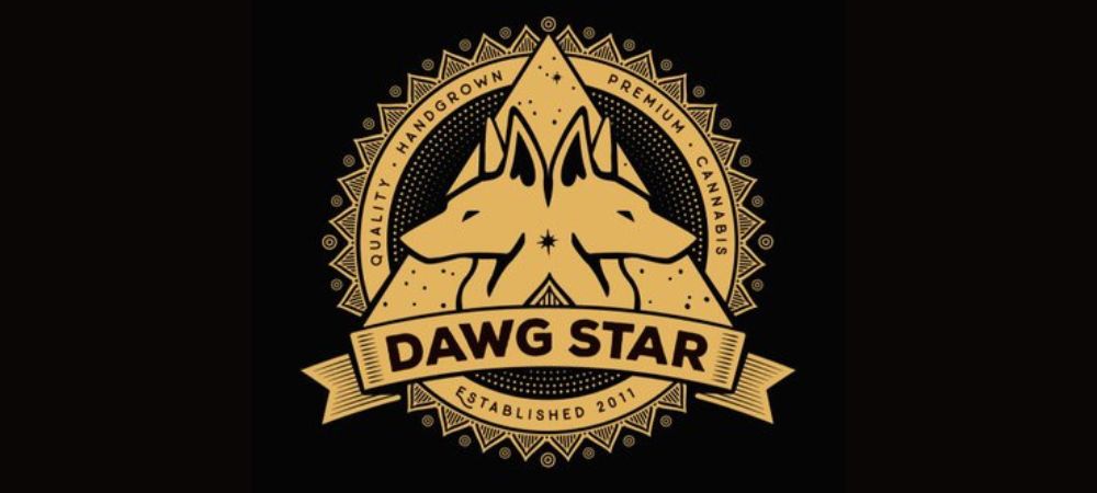 Les meilleures banques de graines américaines - Dawg Start