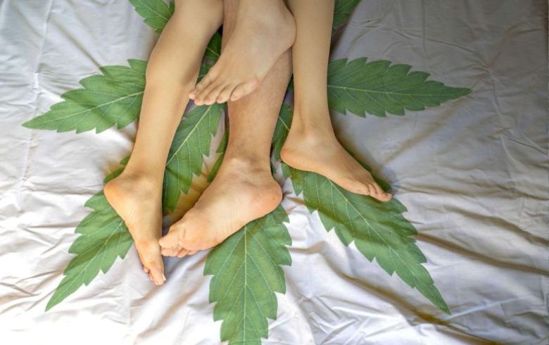 Actualités sur le cannabis