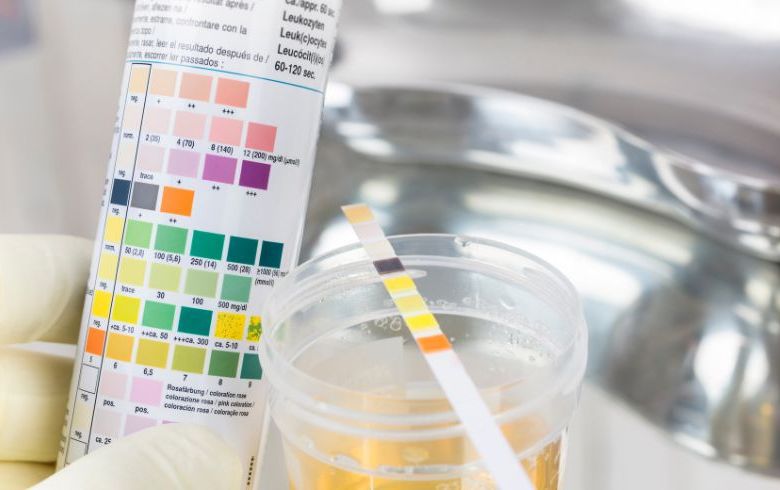 Actualités sur le cannabis