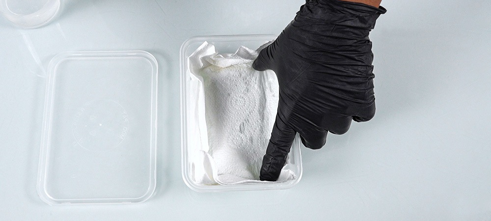 Contrôler l’état des graines toutes les 24 heures