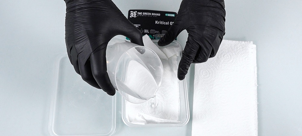 Préparer le Tupperware