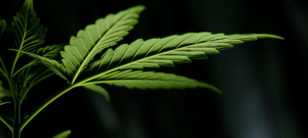 Risques et effets secondaires