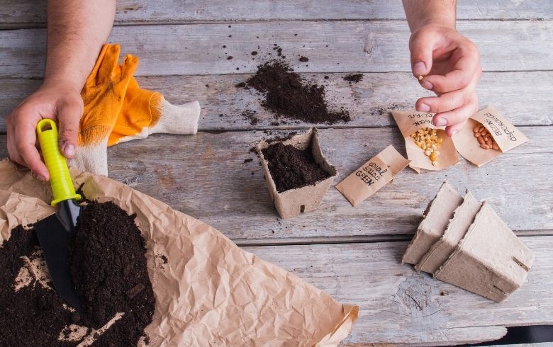 Actualités sur le cannabis