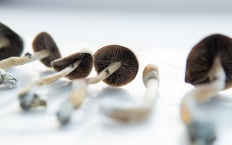 Analyse de produits Analyse de produits