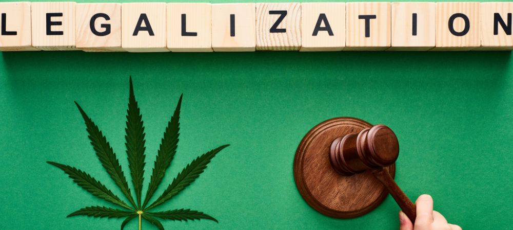 Légalisation du cannabis en allemagne