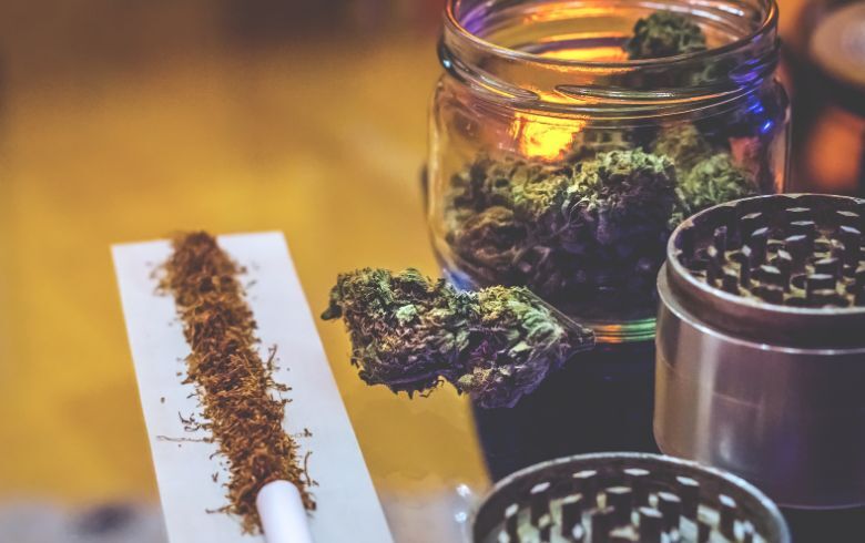 Actualités sur le cannabis