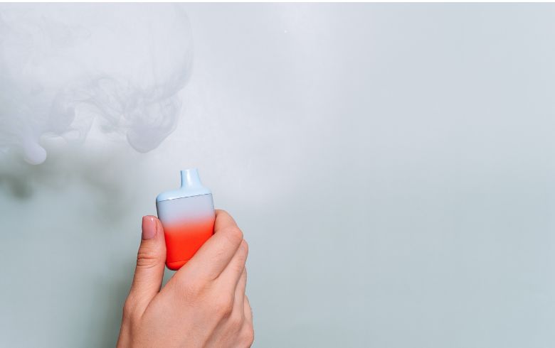 Meilleurs vaporisateurs portable 2024 Meilleurs vaporisateurs portable 2024