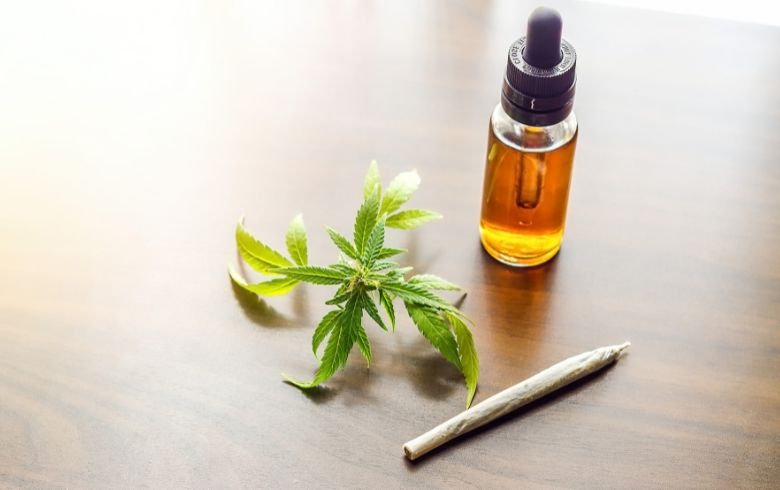 Cannabis thérapeutique