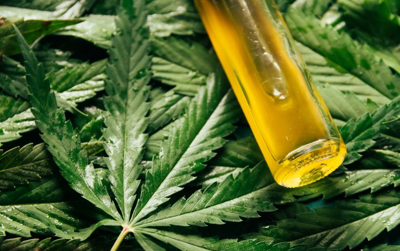 Actualités sur le cannabis