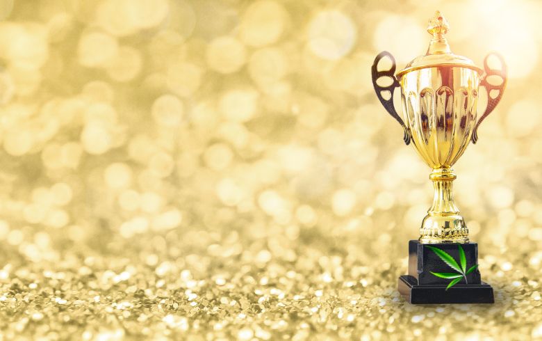 Actualités sur le cannabis