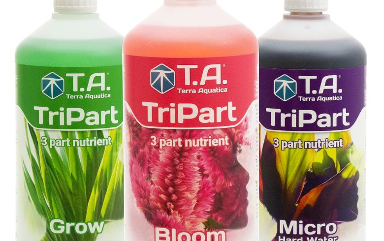 Actualités sur le cannabis