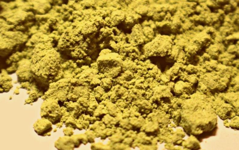 Actualités sur le cannabis