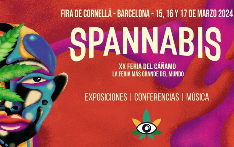 Actualités sur le cannabis