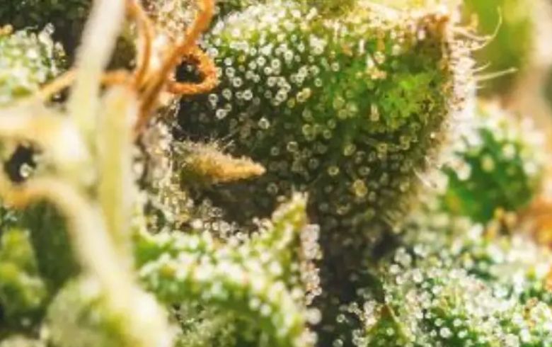 Analyse de produits Analyse de produits