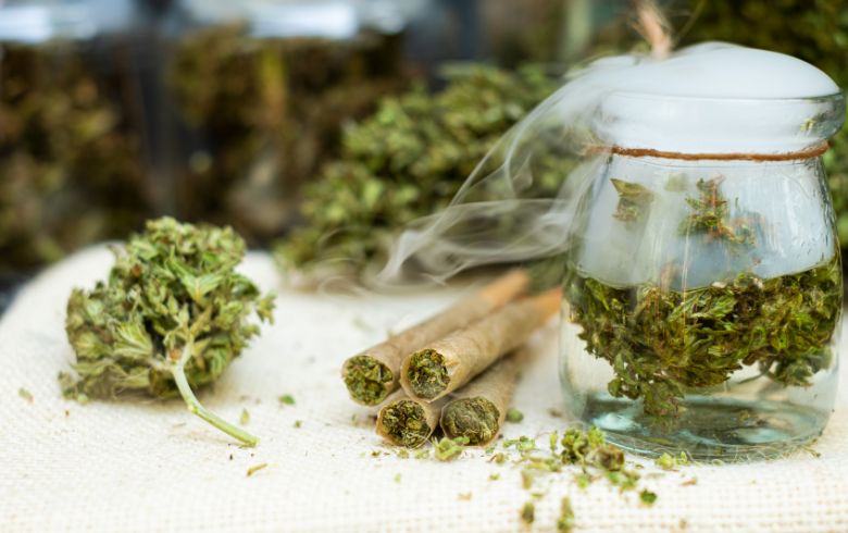 Actualités sur le cannabis