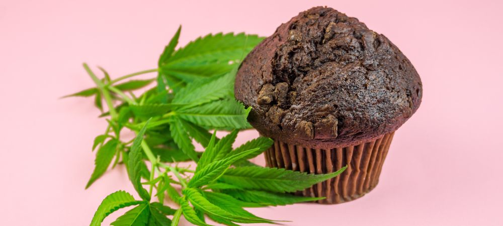 Muffins au cannabis