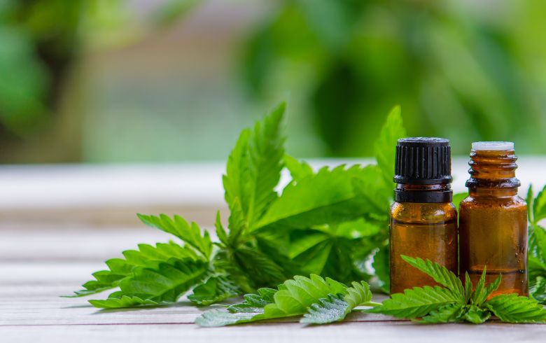 Actualités sur le cannabis