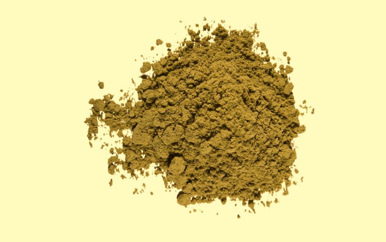 Actualités sur le cannabis