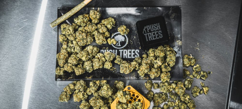 signification du 420