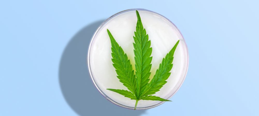 Le CBD est-il légal en Espagne ?