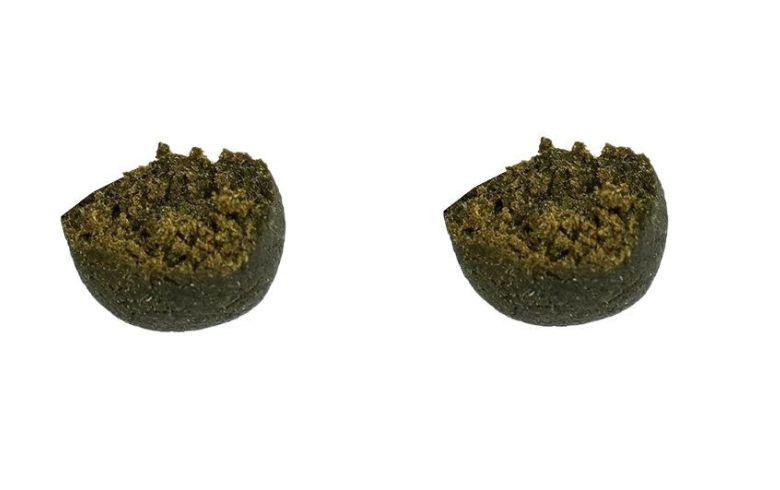 Actualités sur le cannabis