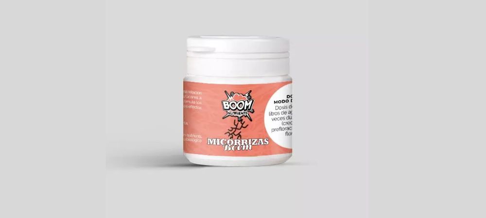 Micorrizas Boom