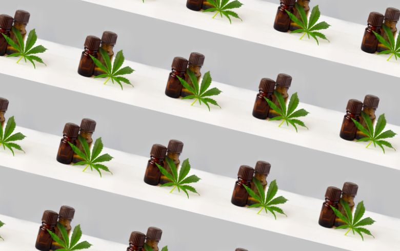 Actualités sur le cannabis