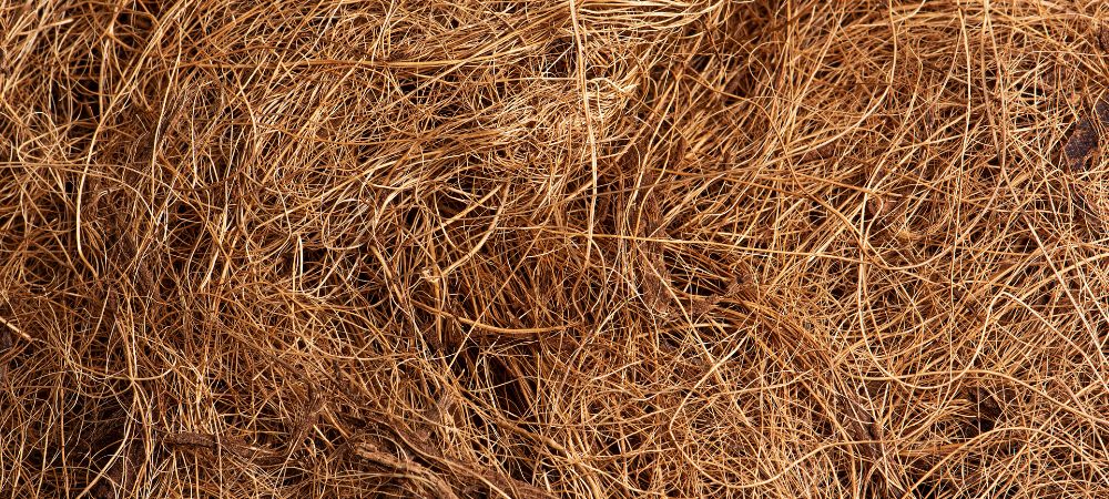 choisir le meilleur terreau pour cannabis : lombricompost