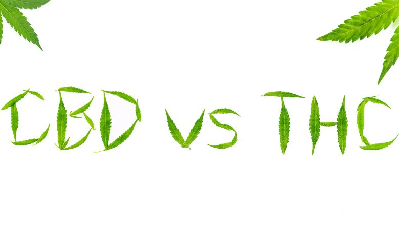 Actualités sur le cannabis