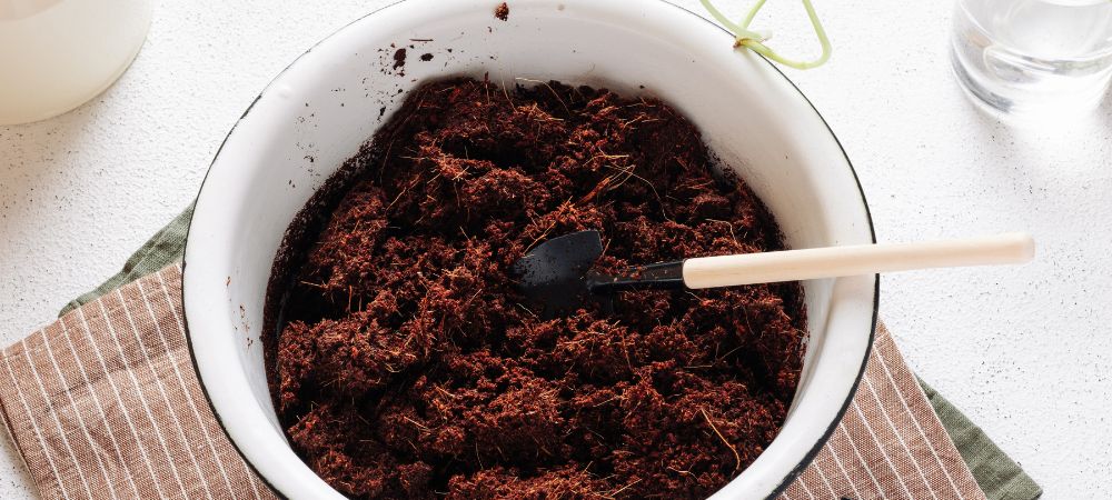 préparation Supersoil