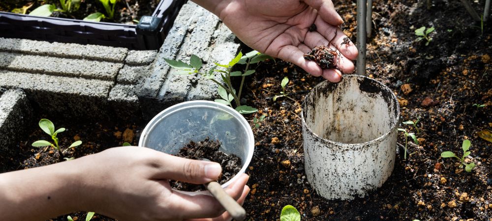 comment faire du lombricompost