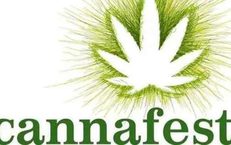 Actualités sur le cannabis