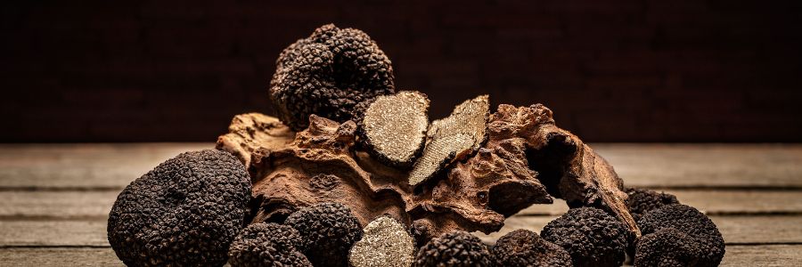 Actualités sur le cannabis