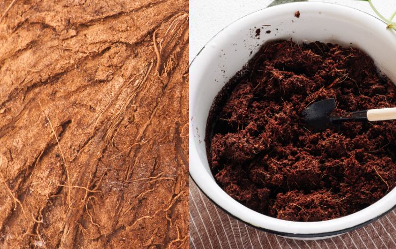 Actualités sur le cannabis