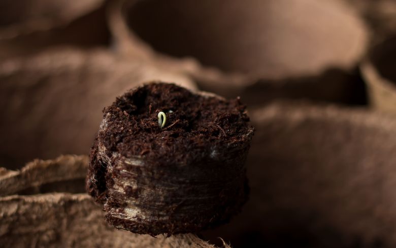 Actualités sur le cannabis