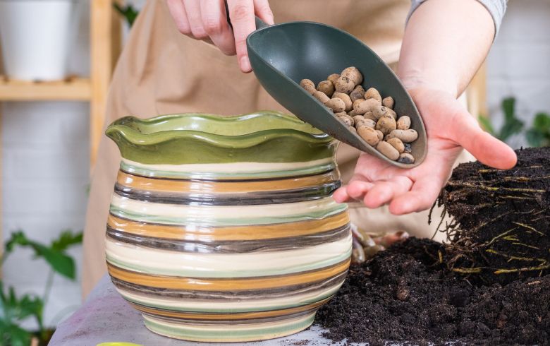 Actualités sur le cannabis