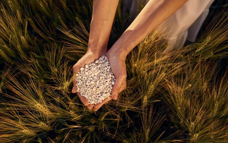 Actualités sur le cannabis