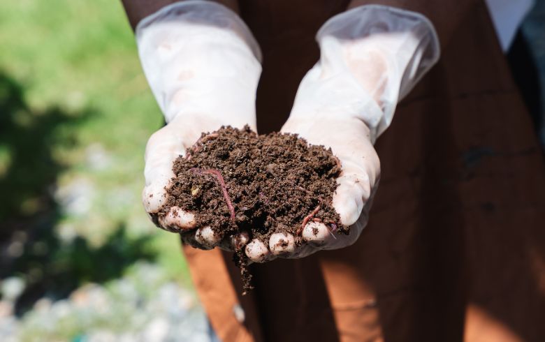 Actualités sur le cannabis