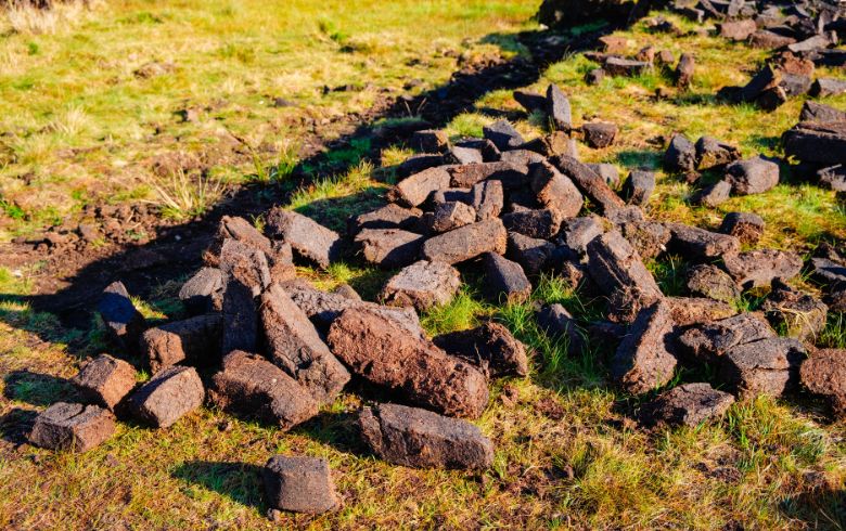 Actualités sur le cannabis
