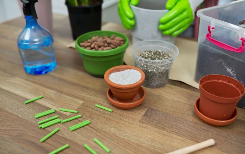 Actualités sur le cannabis