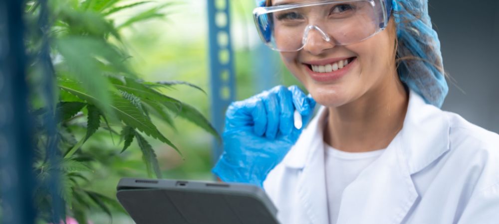 Choisir son tableau de culture en indoor